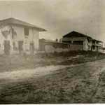 Photo courtesy of Mayo Hayes O'Donnell Library